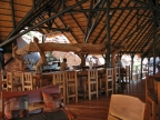 tag-07-damaraland-0336