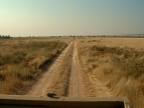 tag-07-damaraland-0341