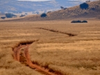 tag-07-damaraland-0346