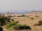 tag-07-damaraland-0347