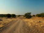 tag-07-damaraland-0356
