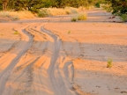 tag-07-damaraland-0365