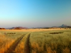 tag-07-damaraland-0368