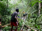 papua-2012-bilder-norbert-0217