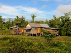 papua-2012-tag09-brazza-0914