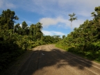papua-2012-tag09-brazza-0918