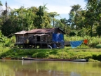papua-2012-tag09-brazza-0942