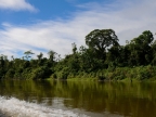 papua-2012-tag09-brazza-0944
