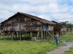 papua-2012-tag09-brazza-0959