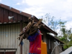 papua-2012-tag09-brazza-0983