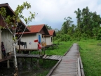papua-2012-tag09-brazza-0985