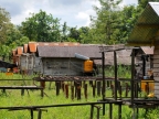 papua-2012-tag09-brazza-0992