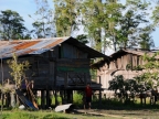 papua-2012-tag09-brazza-1034