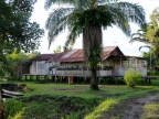 papua-2012-tag09-brazza-1043