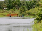 papua-2012-tag10-siretmapul-1084