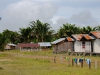papua-2012-tag10-siretmapul-1120