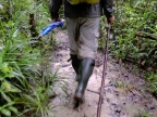 papua-2012-tag11-trekking-1184