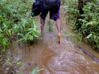 papua-2012-tag11-trekking-1185
