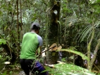 papua-2012-tag11-trekking-1199