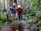 papua-2012-tag11-trekking-1220