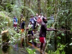 papua-2012-tag11-trekking-1228