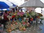 30-cuenco-stadt-769