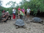 03-charles_darwin_station-146