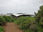 03-charles_darwin_station-160