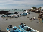 10-puerto-ayora-541