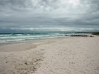 11-tortuga-bay-589