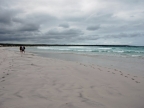 11-tortuga-bay-597