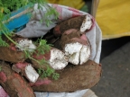 ecuador_obst_gemuese-auswahl-131
