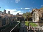 07-paramo-163