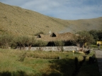 07-paramo-164