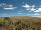 07-paramo-193