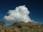 07-paramo-197