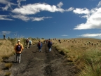 07-paramo-213