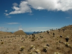 07-paramo-214