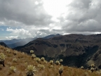 07-paramo-216