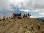 07-paramo-218
