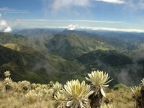 07-paramo-219