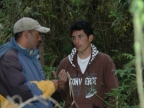07-paramo-231