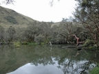 07-paramo-235