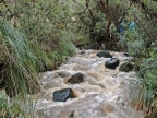 07-paramo-238
