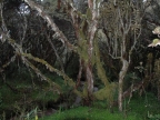 07-paramo-240