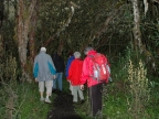 07-paramo-241