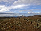 07-paramo-247