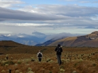 07-paramo-248