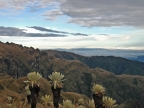 07-paramo-251