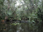 01-rio-napo-074
